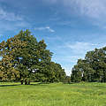 Projektgebiet Mittlere Elbe © Ralph Frank / WWF