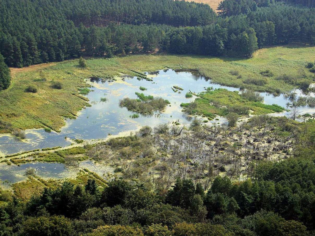 Uckermärkische Seenplatte © Rüdiger Mauersberger