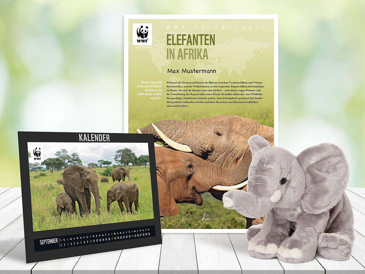 Begrüßungspaket Elefanten-Patenschaft © WWF