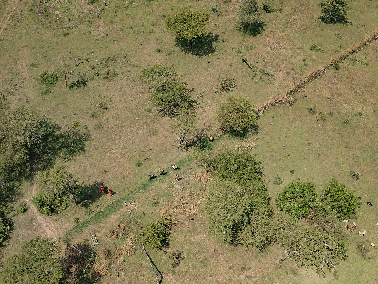 Wieder mehr Wanderkorridore: Zaunabbau in Ungansiha © Daniel Crous / WWF