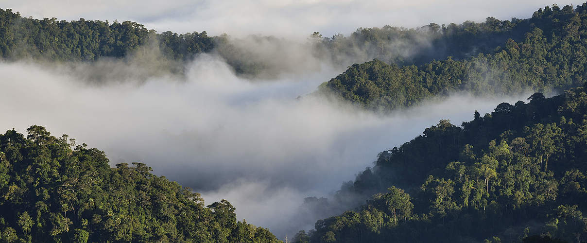 Die Dawna Tenasserim Landschaft in Thailand © Hkun Lat / WWF Australia