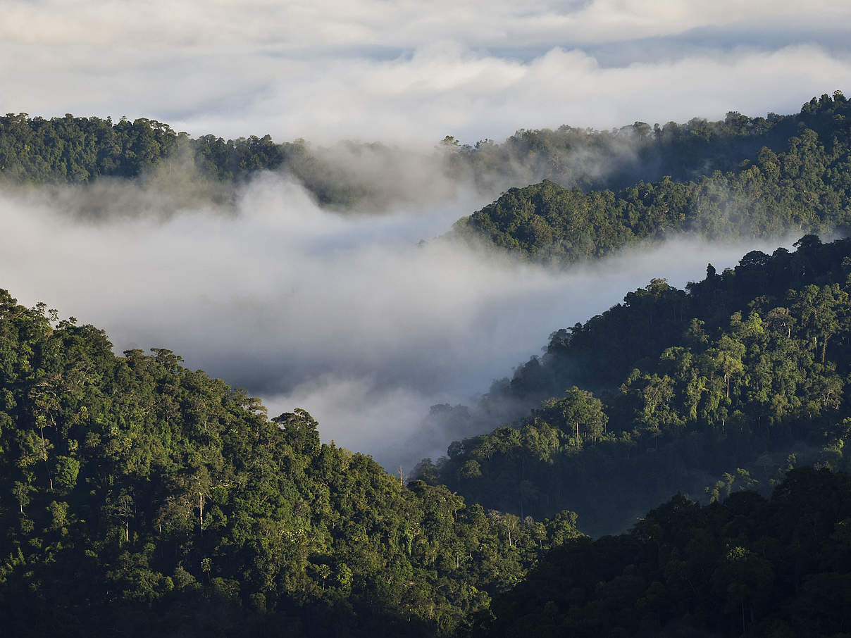 Die Dawna Tenasserim Landschaft in Thailand © Hkun Lat / WWF Australia