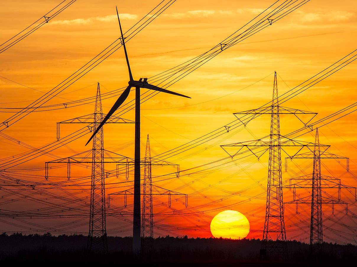 Brandenburg: Strommasten im Sonnenuntergang © Ralph Frank / WWF