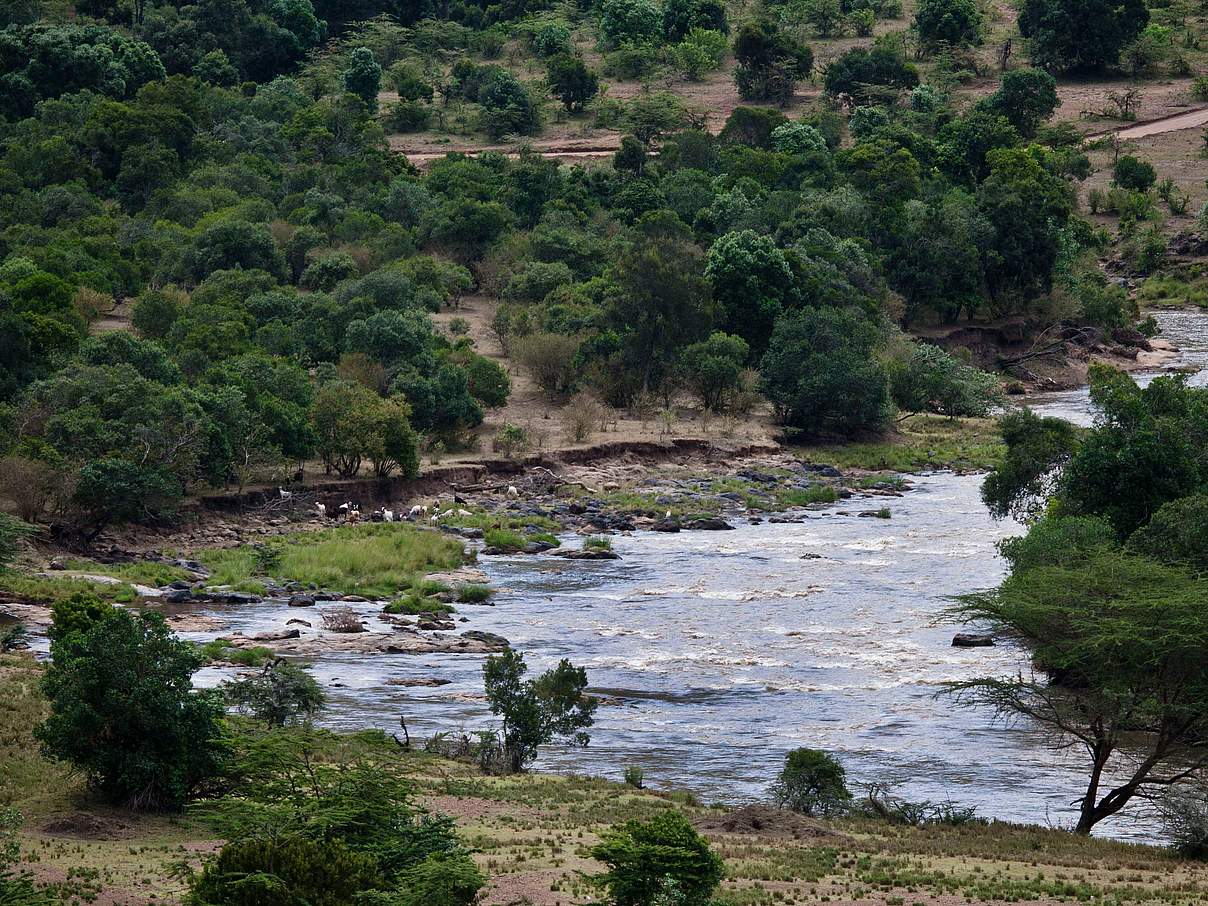 Der Mara Fluss in Kenia © Kate Holt / WWF UK