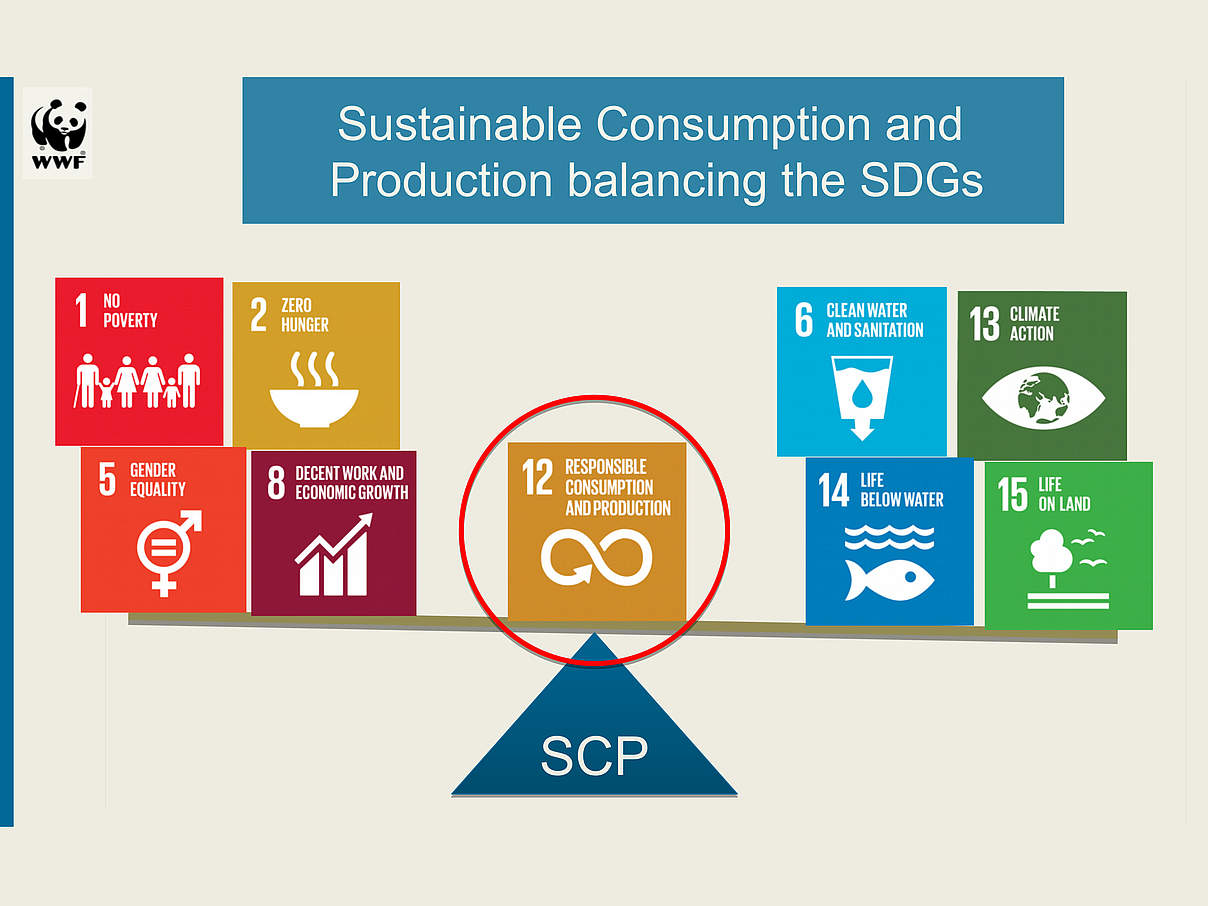 SDG 12 hat das Potential, die verschiedenen Entwicklungsziele auszubalancieren © Tanja Plötz / WWF Deutschland