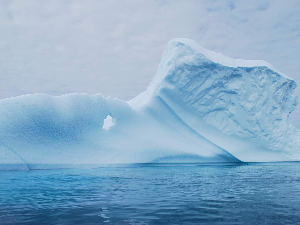 Eisberg in der Arktis © Zoe Caron / WWF Kanada