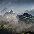 Morgendämmerung in Bomet Narok in Kenia © Kate Holt / WWF UK