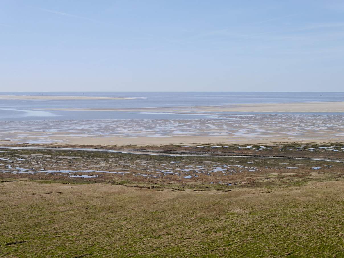 Wattfläche, Sandbänke und Salzwiese © Hans-Ulrich Rösner / WWF