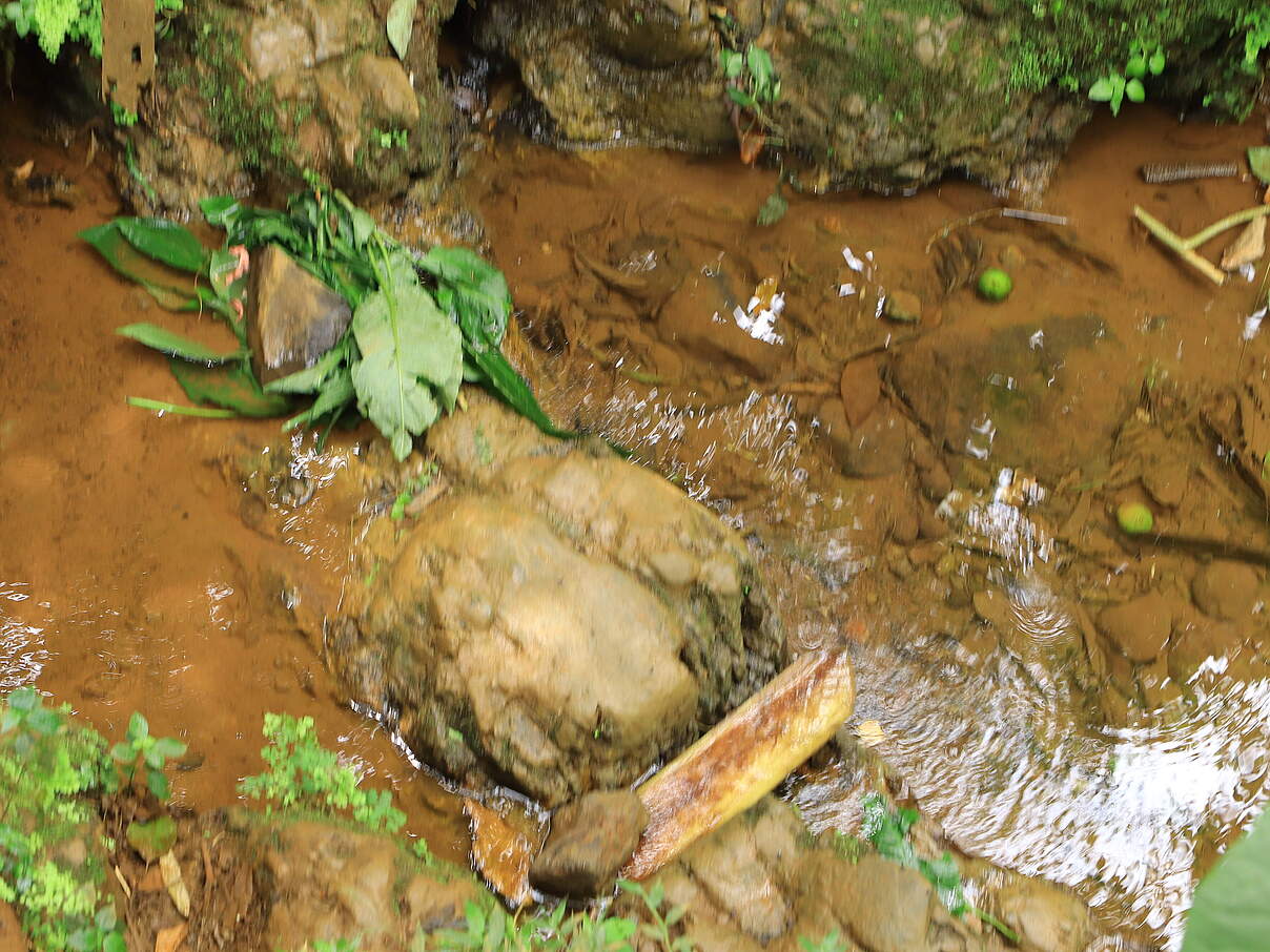 Wenn sich der Wasserlauf eines Flusses ändert, kann das Konsequenzen für die ganze Ökoregion haben.