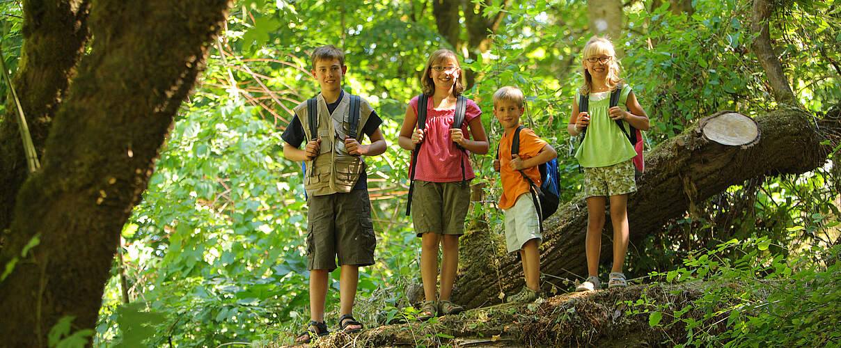Kinder im Wald