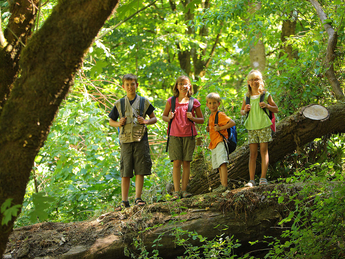 Kinder im Wald