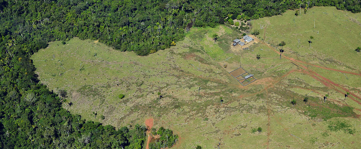 Auswirkung der Landwirtschaft am Amazonas ©Adriano Gambarini / WWF Living Amazon Initiative / WWF-Brazil