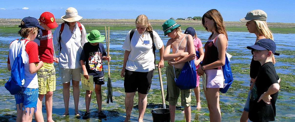 Bildung im Wattenmeer © Johan Krol