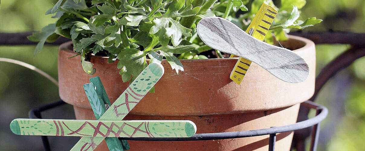 Bunte Insekten basteln