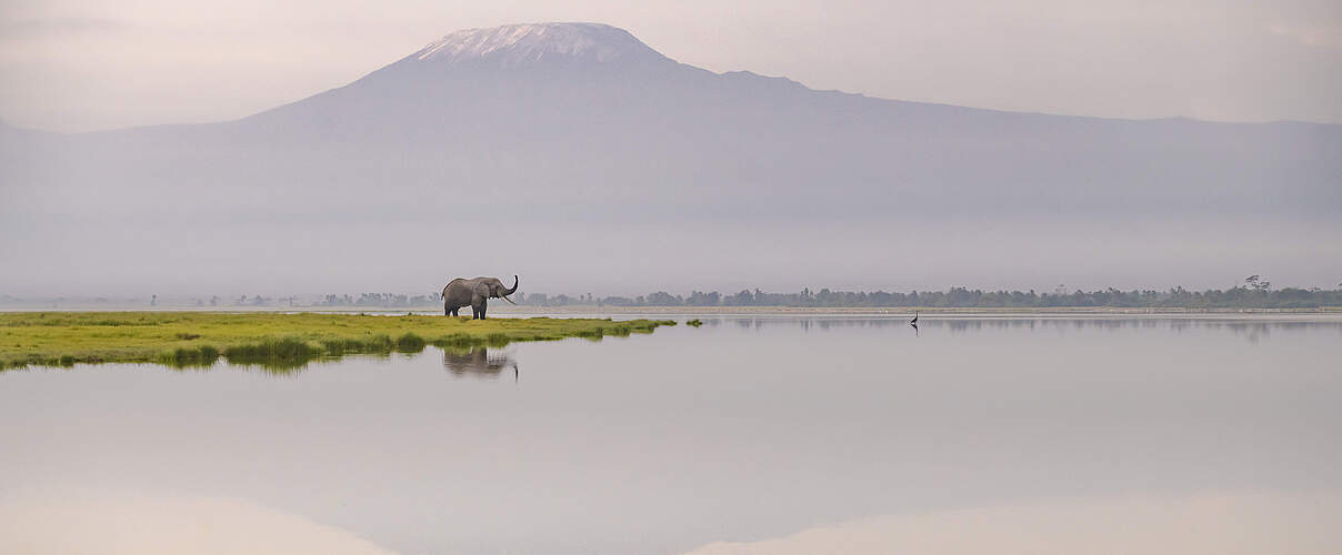 Elefant steht einsam in weiter Landschaft, im Vordergrund ein See, im Hintergrund ein Gebirge
