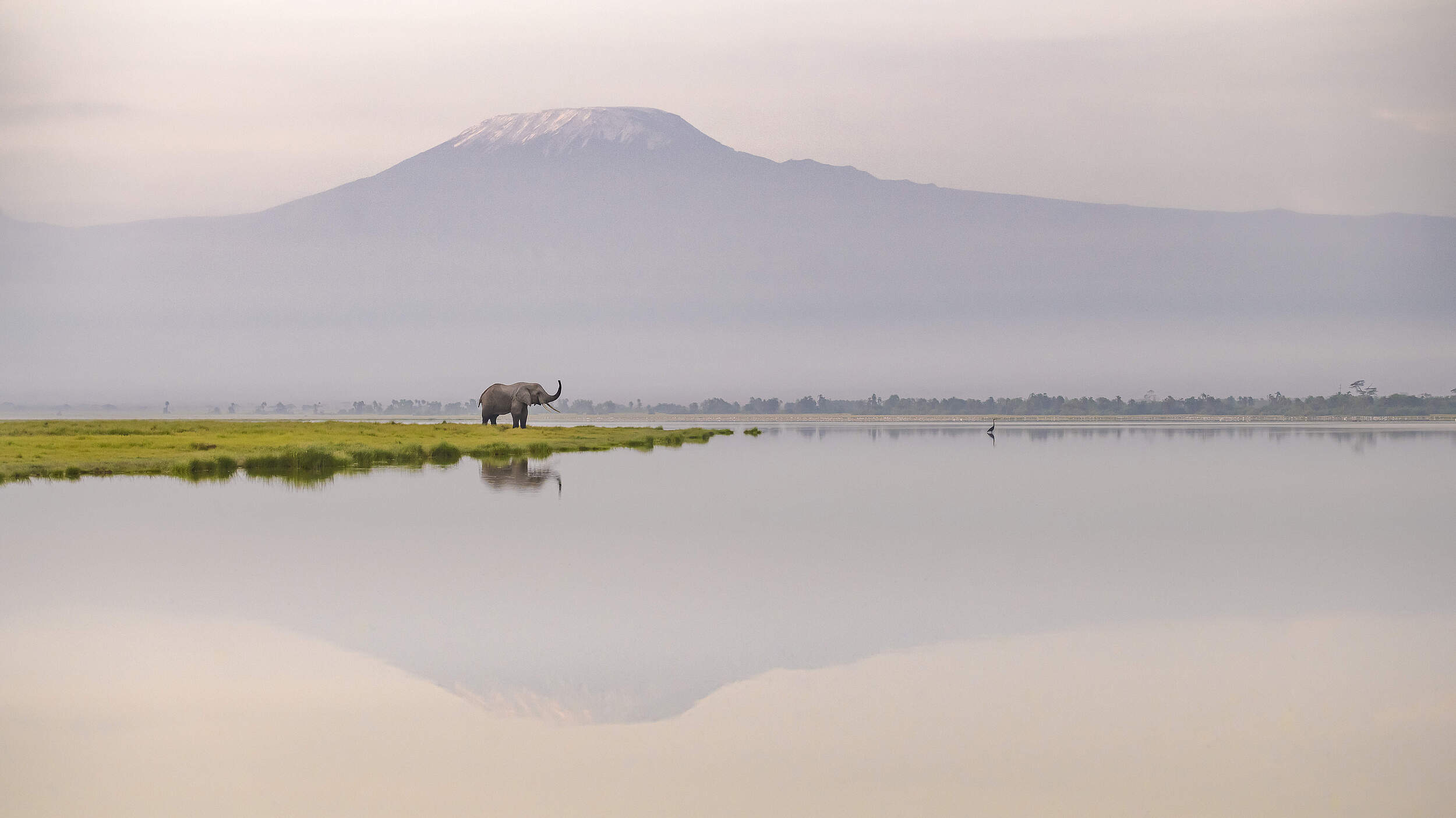 Elefant steht einsam in weiter Landschaft, im Vordergrund ein See, im Hintergrund ein Gebirge