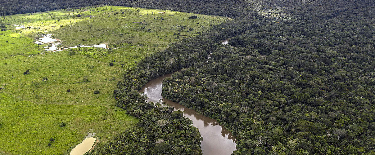Drohne zeigt die Entwaldung am Uru Eu Wau Wau - Gebiet © Marizilda Cruppe / WWF UK