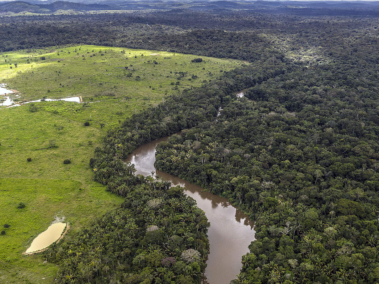 Drohne zeigt die Entwaldung am Uru Eu Wau Wau - Gebiet © Marizilda Cruppe / WWF UK