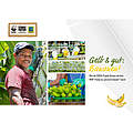 Titel der Broschüre "Gelb & Gut: Bananen" © EDEKA / WWF