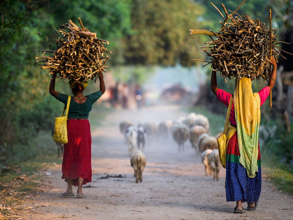 Frauen tragen Feuerholz © Gary Van Wyk / The Ginkgo Agency / Whiskas / WWF-UK