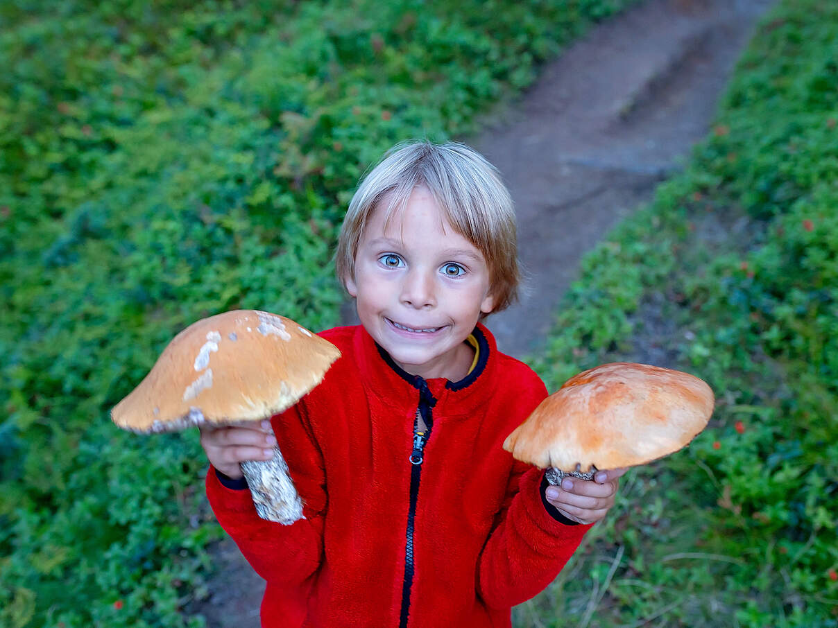 Kind hält große Pilze in den Händen
