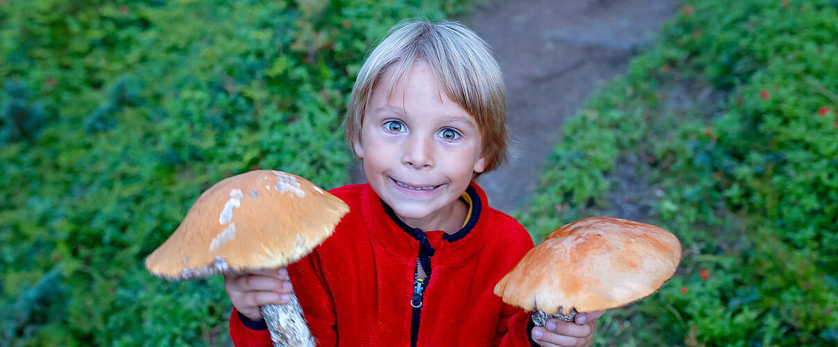 Kind hält große Pilze in den Händen