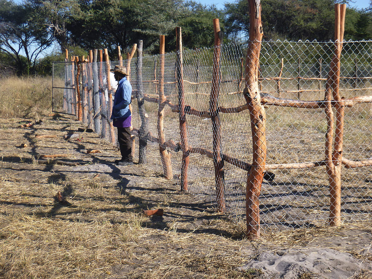 Kraalbau © Kwando Carnivore Project