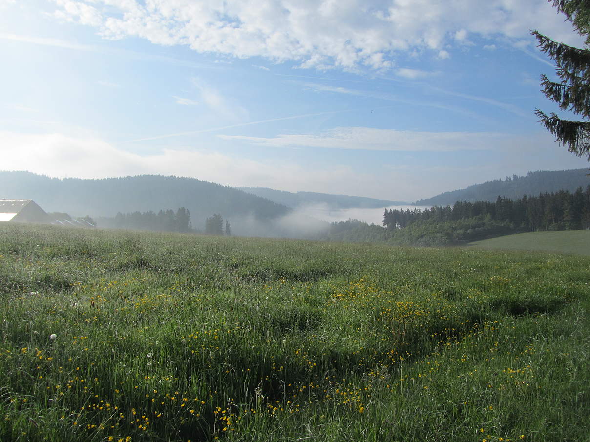 Südschwarzwald © Kristina Walter