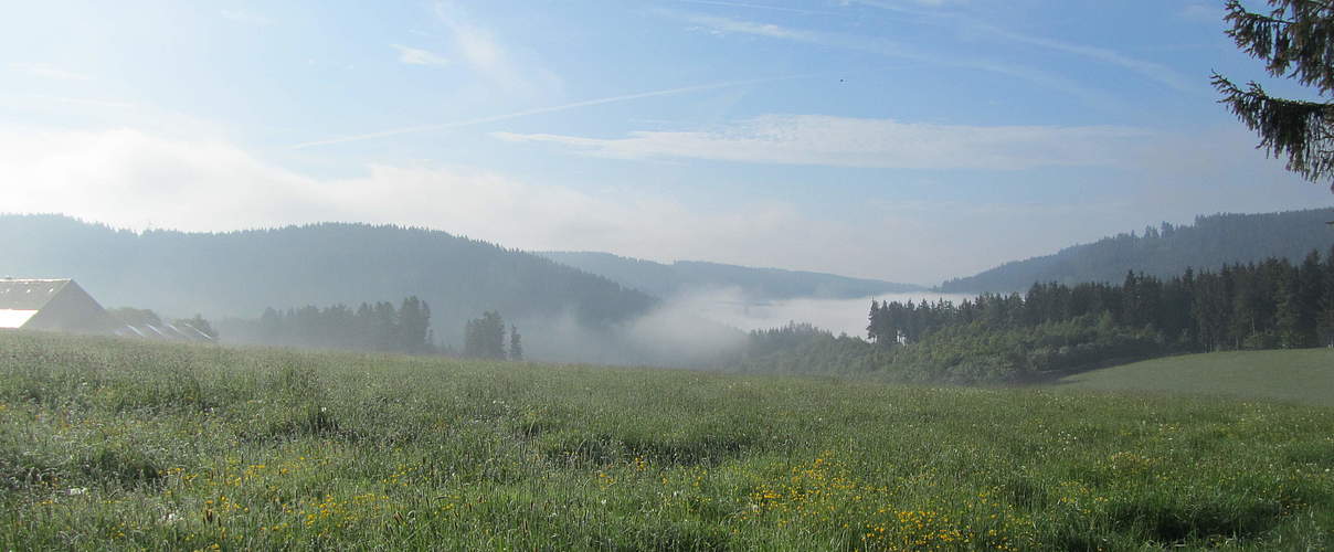 Südschwarzwald © Kristina Walter