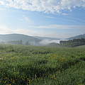 Südschwarzwald © Kristina Walter