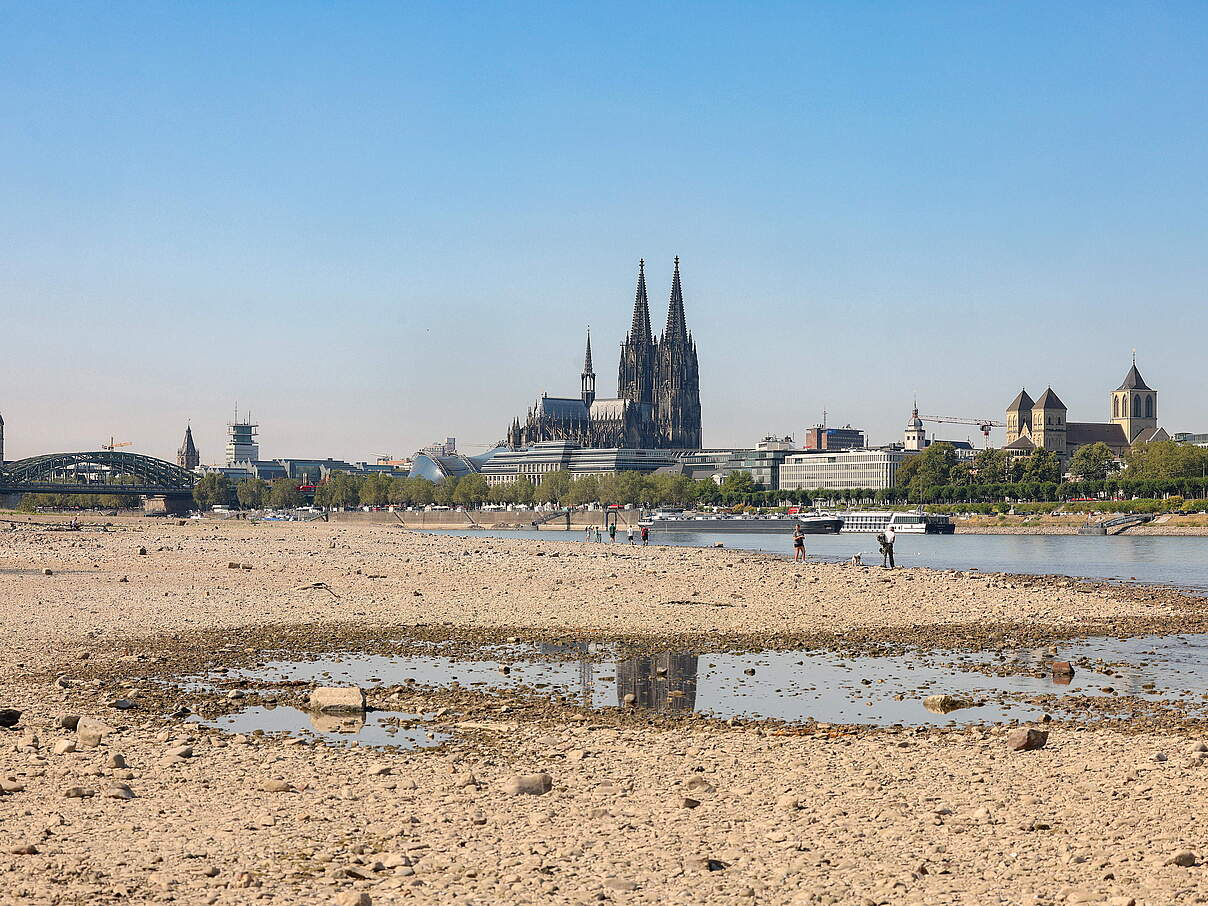 2026 Sommer im Rheinland; Der Fluss im Rhein hat Niedrigwasser, im Hintergrund ist der Kölner Dom