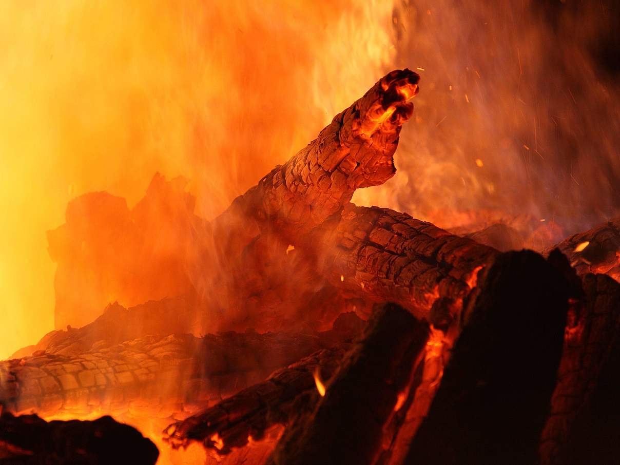 Brennende Holzscheite im Lagerfeuer © IMAGO / Frank Sorge