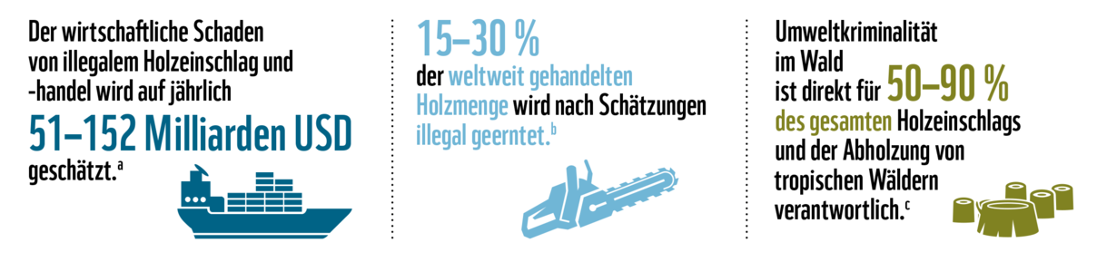 Das Ausmaß von Umweltkriminalität im Wald: illegaler Holzeinschlag und -handel © WWF