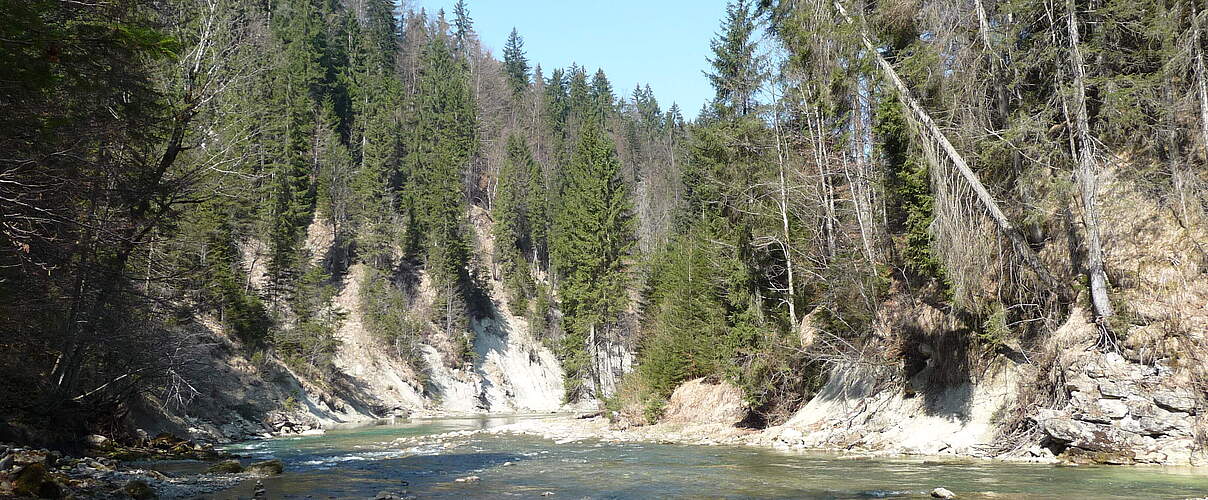 Ammerschlucht © Claire Tranter / WWF