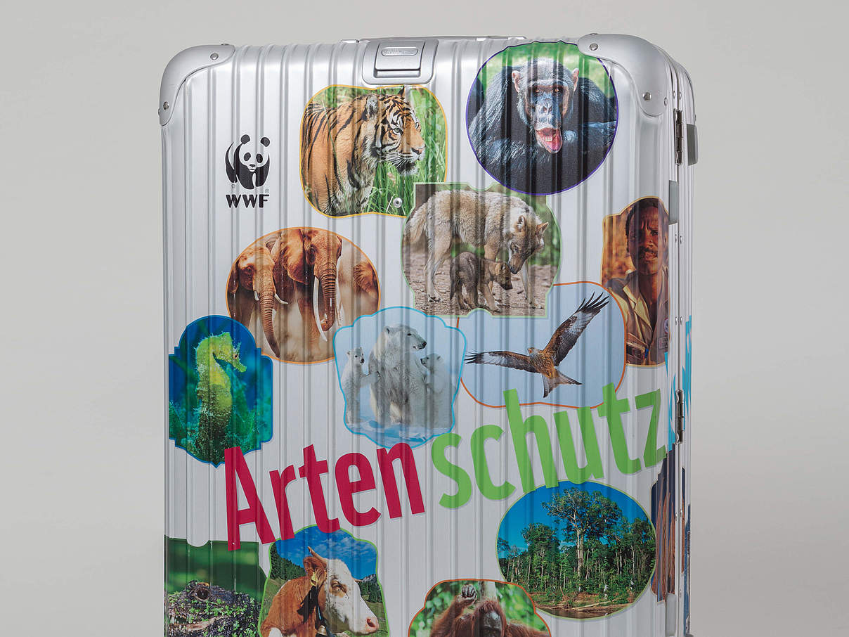 Der WWF-Artenschutzkoffer © Henning Moser