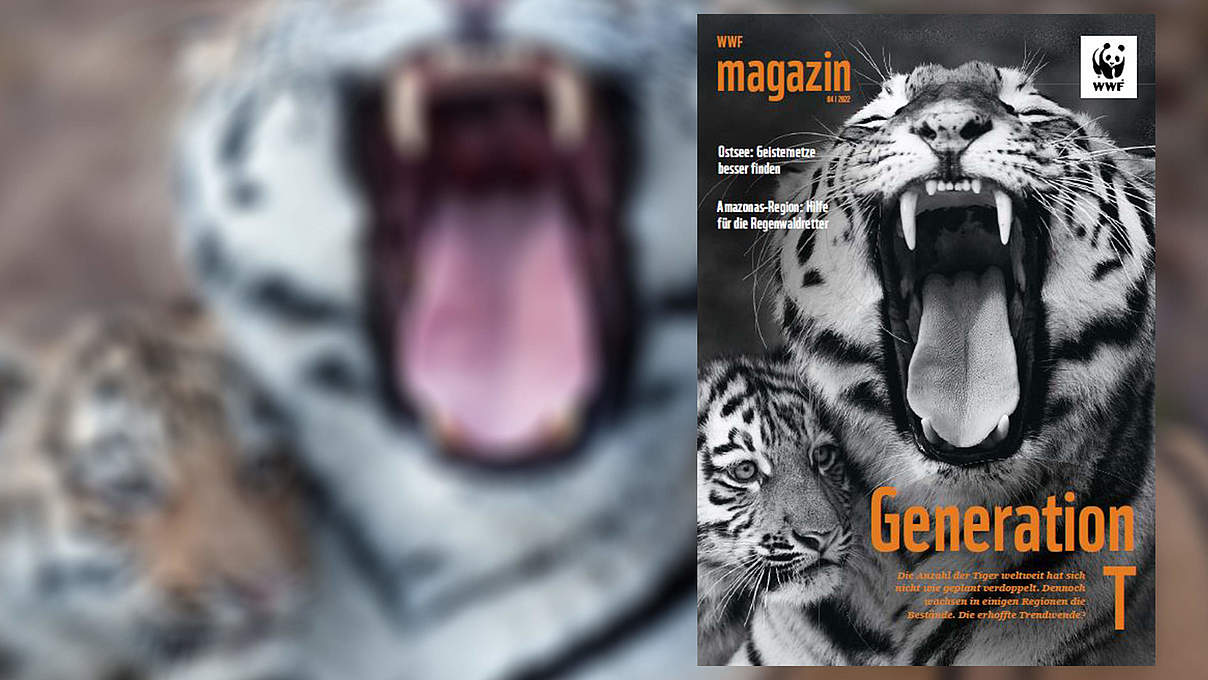 Titel des WWF Magazin 04/2022 © Wittek / mauritius images