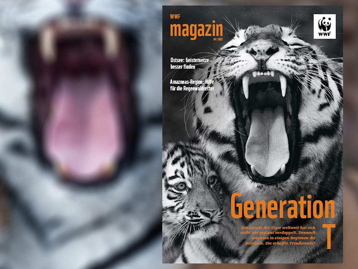 Titel des WWF Magazin 04/2022 © Wittek / mauritius images