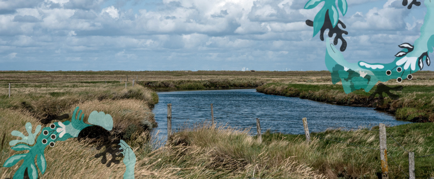 WWF Supporters Club © WWF