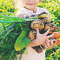 Gartenernte @ Yana Tatevosian / iStock / Getty Images