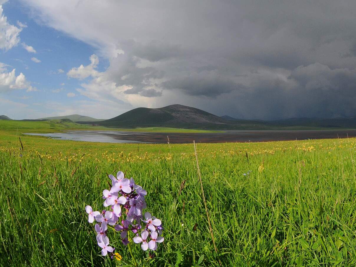 Javakheti Schutzgebiet © Aurel Heidelberg / WWF