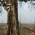 Dürreperiode in Myanmar © Minzayar Oo / WWF USA