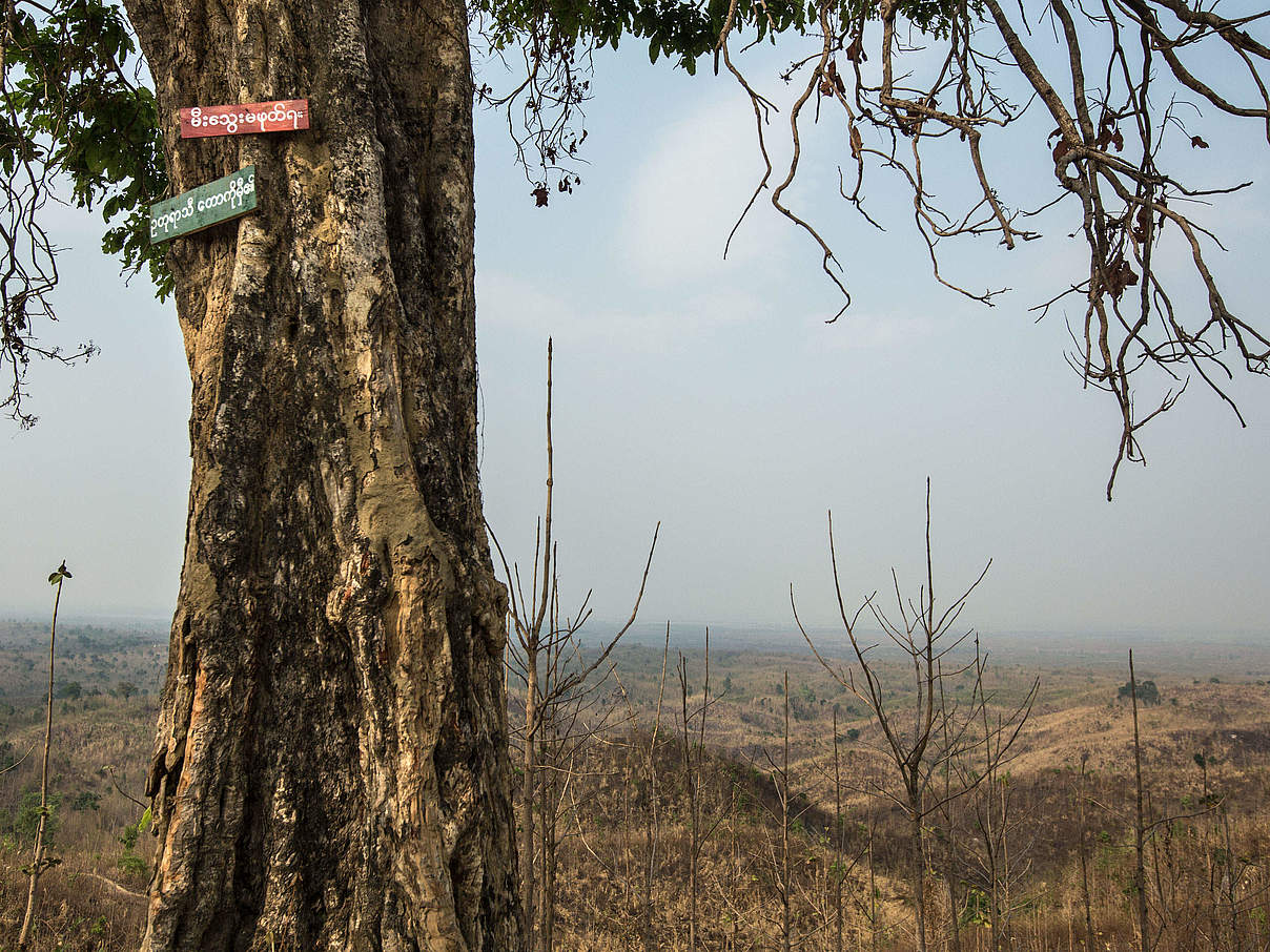 Dürreperiode in Myanmar © Minzayar Oo / WWF USA