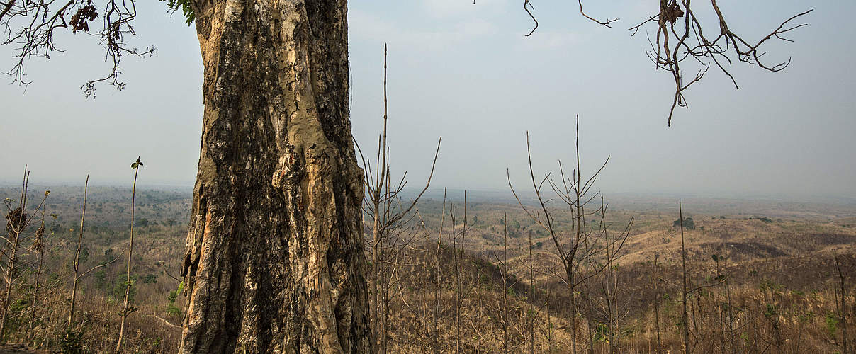 Dürreperiode in Myanmar © Minzayar Oo / WWF USA