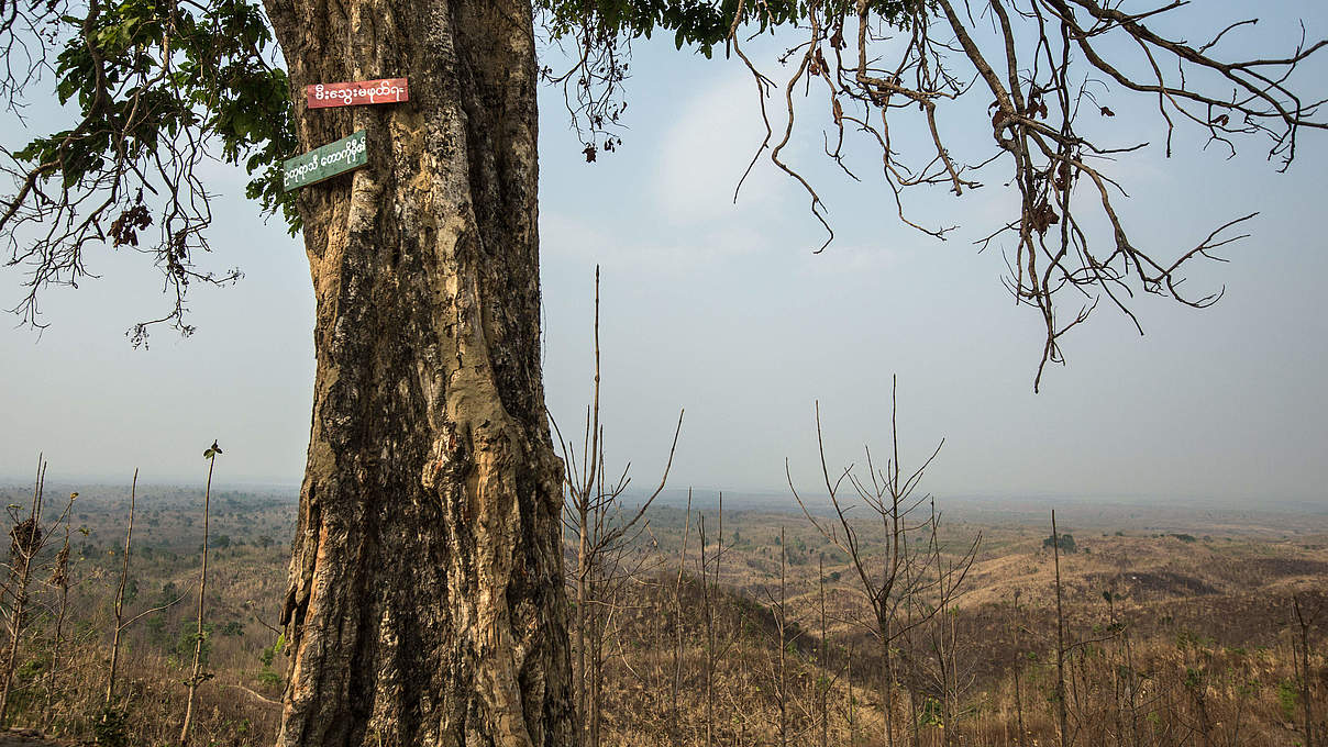 Dürreperiode in Myanmar © Minzayar Oo / WWF USA