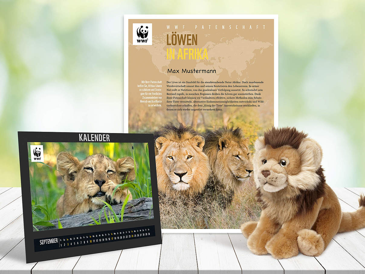 Begrüßungspaket Löwen-Patenschaft © WWF
