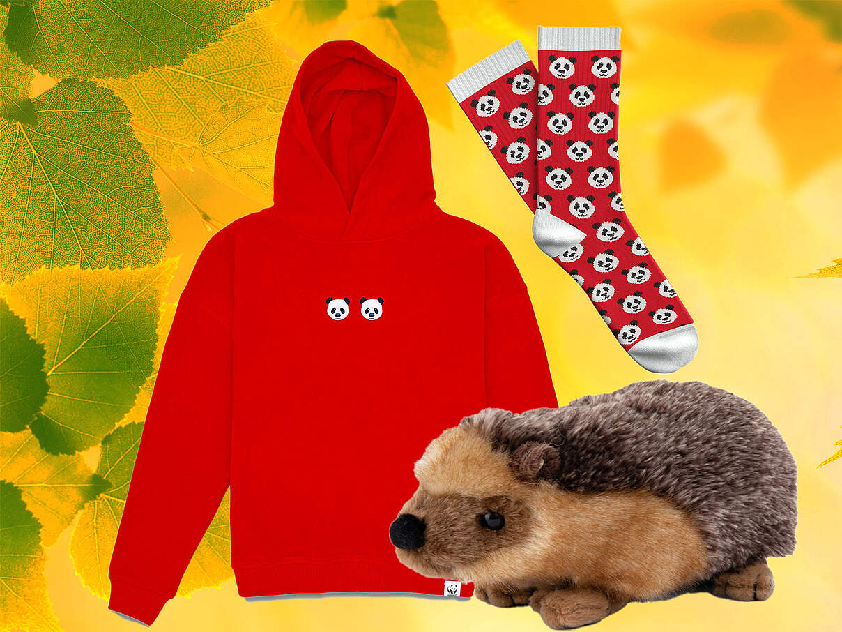 Kuschelig und bunt in den Herbst!
