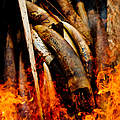 Verbrennung von Elfenbein © James Morgan / WWF