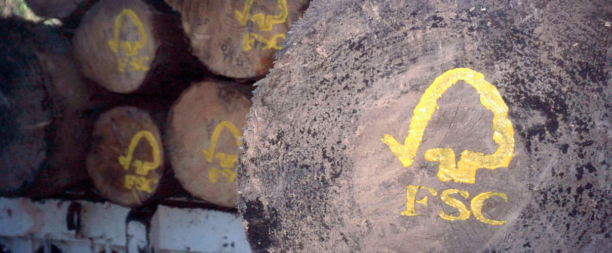 FSC-Logo auf Baumstämmen © N.C. Turner / WWF
