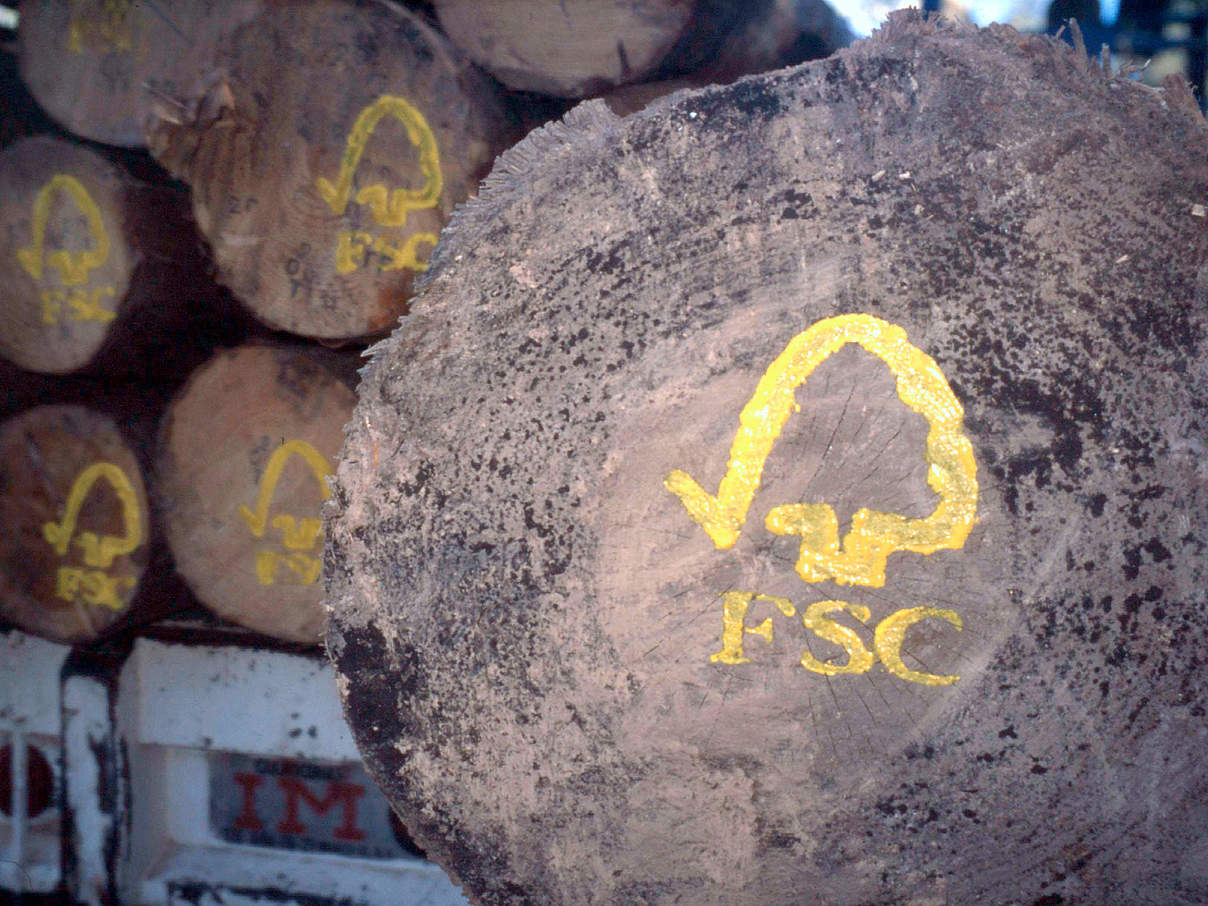 FSC-Logo auf Baumstämmen © N.C. Turner / WWF