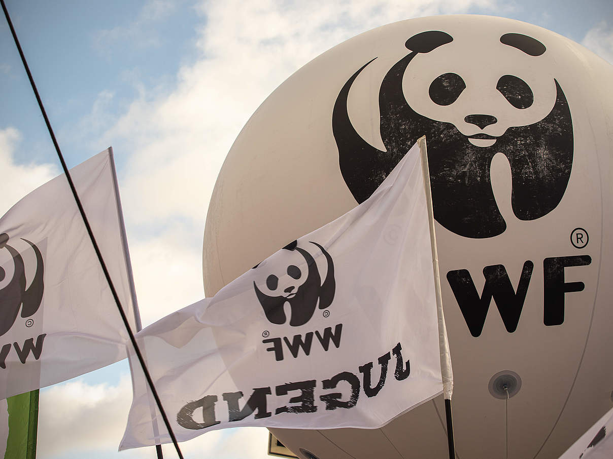Der Panda auf der Klimademo © Sonja Ritter / WWF